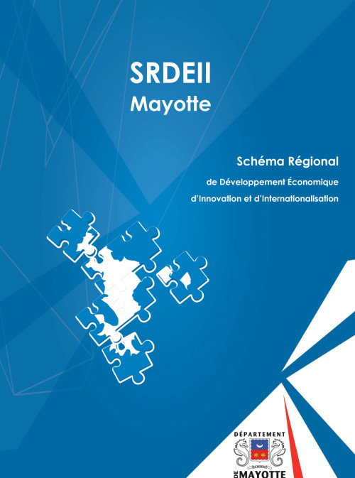 Schéma Régional de Développement Économique d’Innovation et d’Internationalisation (SRDEII)