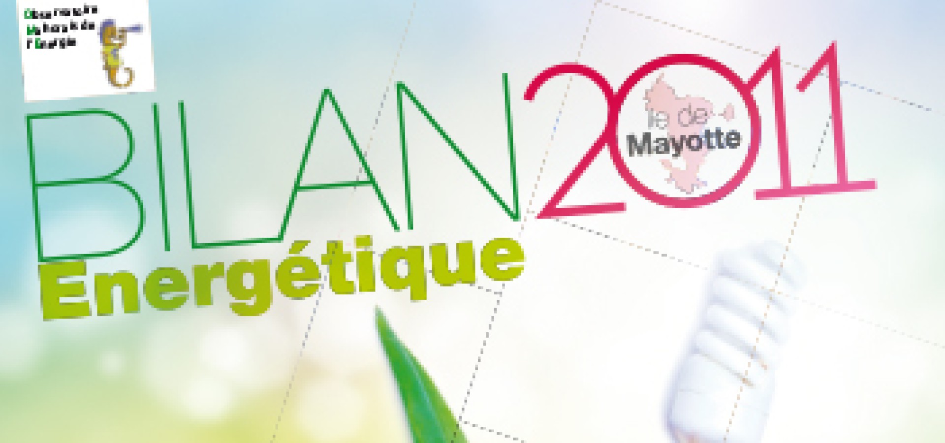 Bilan énergétique 2011 de Mayotte