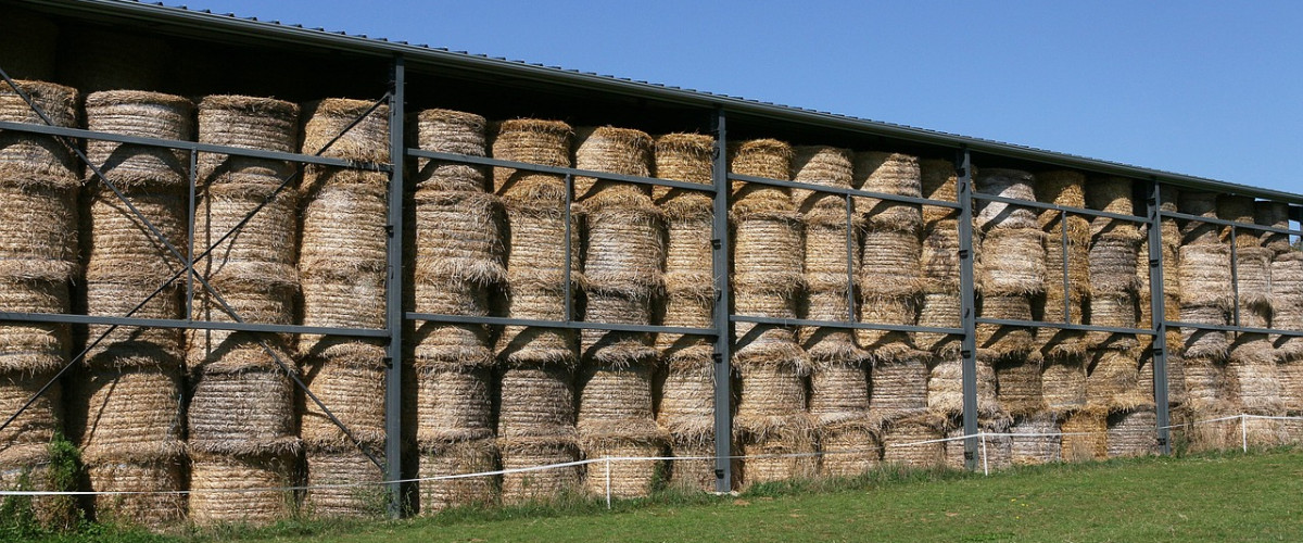 AMI Stockage et commercialisation de détail de fourrages déshydratés à Mayotte