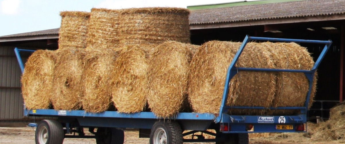 AMI Transport maritime de fourrages déshydratés depuis Madagascar vers Mayotte