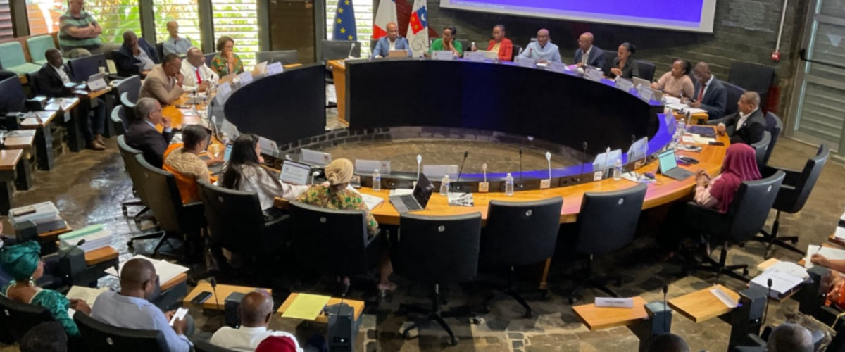 Séance plénière et commission permanente du 12 juin 2024