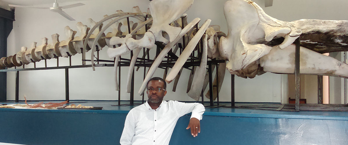 Les Journées européennes du patrimoine au Musée de Mayotte