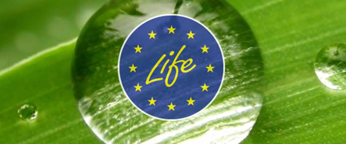 Le programme LIFE, un soutien aux projets dans le secteur de l’environnement