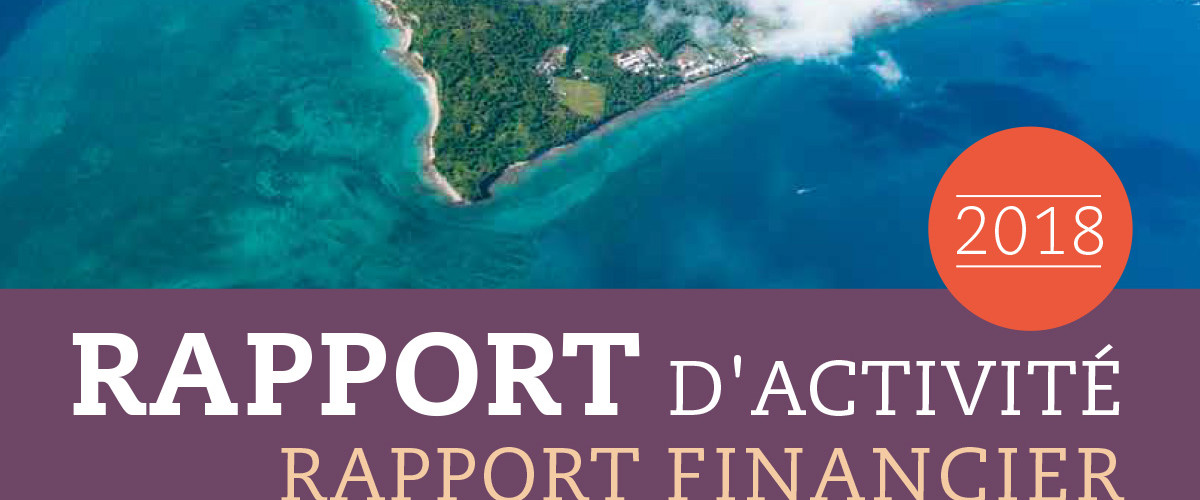 Le Conseil départemental de Mayotte au rapport