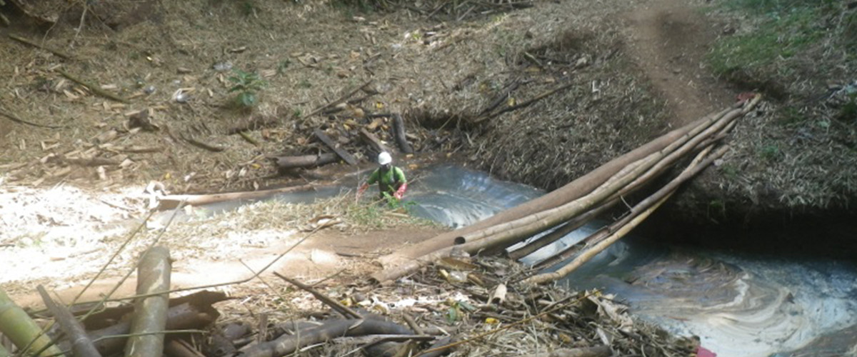 Schéma d’entretien et de restauration des rivières de Mayotte