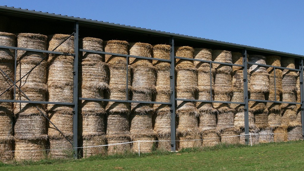 AMI Stockage et commercialisation de détail de fourrages déshydratés à Mayotte