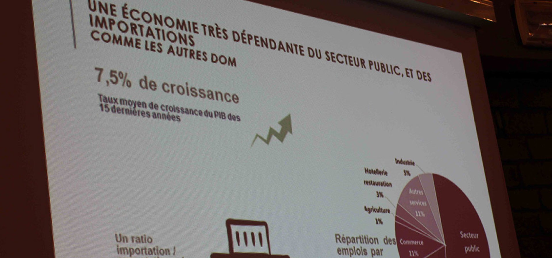 Tenue du premier Comité de pilotage du SRDEII le 5 décembre dernier