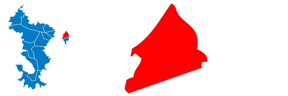 Canton de Dzaoudzi