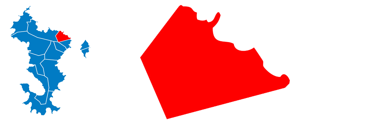 Canton de Koungou