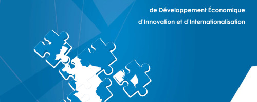 Schéma Régional de Développement Économique d’Innovation et d’Internationalisation (SRDEII)