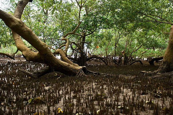 Rencontre entre le Parc naturel marin et les élus de Mayotte